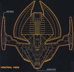Star Trek Gallery - ventral-view.jpg