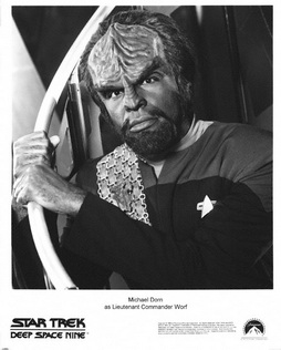 Star Trek Gallery - worf_027.jpg