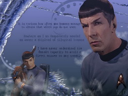 Star Trek Gallery - Star-Trek-TOS-Spock-and-His-Words-star-trek-the-original-series-15874598-1024-768.jpg