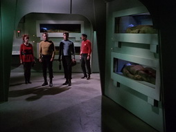 Star Trek Gallery - StarTrek_still_1x22_SpaceSeed_0389.jpg
