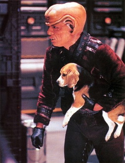 Star Trek Gallery - clint_howard_ferengi_ent3.jpg