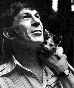 Star Trek Gallery - kitten_and_leonard_nimoy.jpg