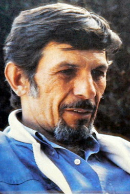 Star Trek Gallery - leonard_nimoy_goatee.jpg