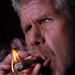 Star Trek Gallery - ron_perlman-reman_viceroy.jpg