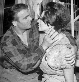 Star Trek Gallery - shatner_collins01.jpg