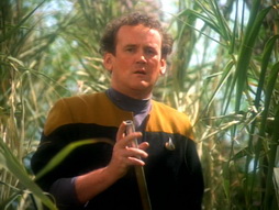 Star Trek Gallery - paradise_177.jpg