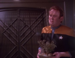 Star Trek Gallery - theassignment_063.jpg