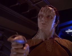 Star Trek Gallery - wayofwarrior2_535.jpg