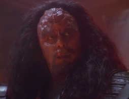 Star Trek Gallery - wayofwarrior2_665.jpg