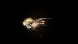 Star Trek Gallery - aenar_458.jpg