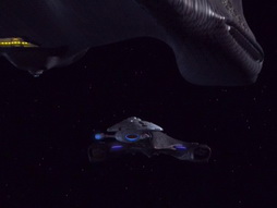 Star Trek Gallery - counterpoint_000.jpg