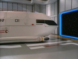 Star Trek Gallery - samaritansnare023.jpg