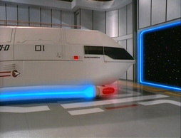 Star Trek Gallery - samaritansnare024.jpg