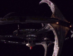 Star Trek Gallery - thesearch1_024.jpg