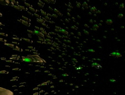 Star Trek Gallery - theswarm257.jpg