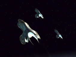 Star Trek Gallery - thirtydays_110.jpg