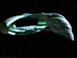 Star Trek Gallery - warbird.jpg