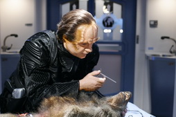 Star Trek Gallery - phlox_mirror.jpg