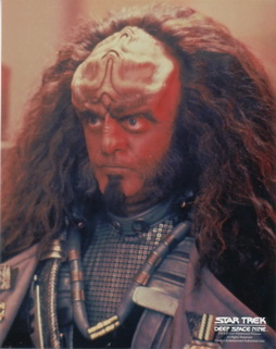 Star Trek Gallery - GOWRON.jpg