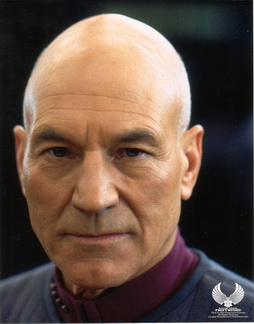 Star Trek Gallery - n_picard2aa.jpg