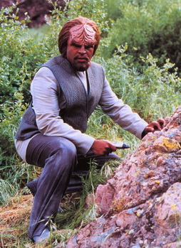 Star Trek Gallery - worf_ins3.jpg