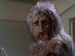 Star Trek Gallery - StarTrek_still_1x01_TheManTrap_2735.jpg