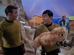 Star Trek Gallery - StarTrek_still_1x05_TheEnemyWithin_0027.jpg