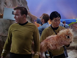 Star Trek Gallery - StarTrek_still_1x05_TheEnemyWithin_0032.jpg