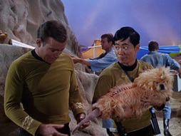 Star Trek Gallery - StarTrek_still_1x05_TheEnemyWithin_0036.jpg