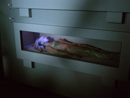 Star Trek Gallery - StarTrek_still_1x22_SpaceSeed_0370.jpg