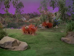 Star Trek Gallery - StarTrek_still_2x22_ByAnyOtherName_0008.jpg