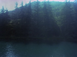 Star Trek Gallery - StarTrek_still_3x03_TheParadiseSyndrome_0007.jpg