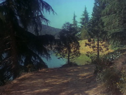 Star Trek Gallery - StarTrek_still_3x03_TheParadiseSyndrome_0029.jpg