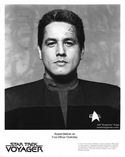 Star Trek Gallery - chakotay_s1c.jpg