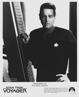 Star Trek Gallery - chakotay_s3d.jpg